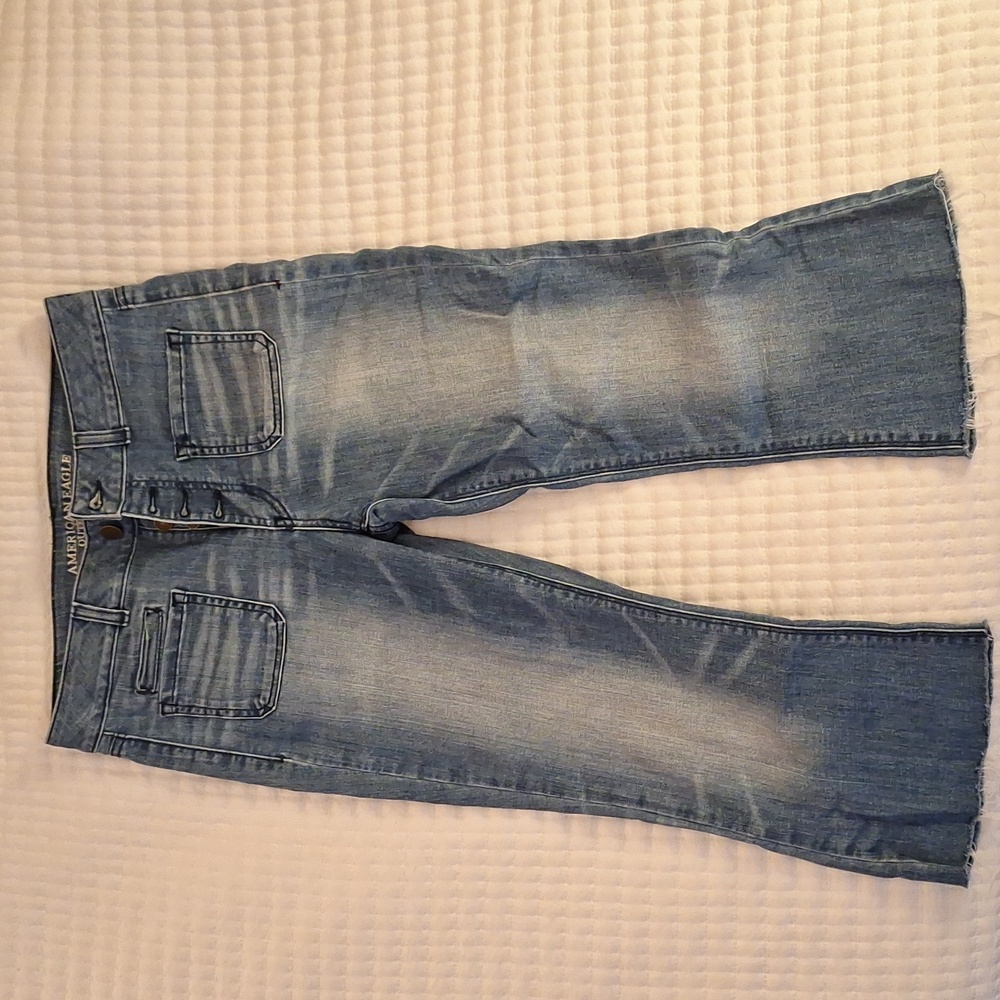 American Eagle Outfitters Blue Flare Wide Leg Jeans